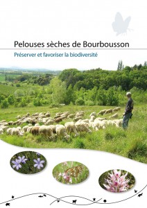 PDGs-Bourbousson-web