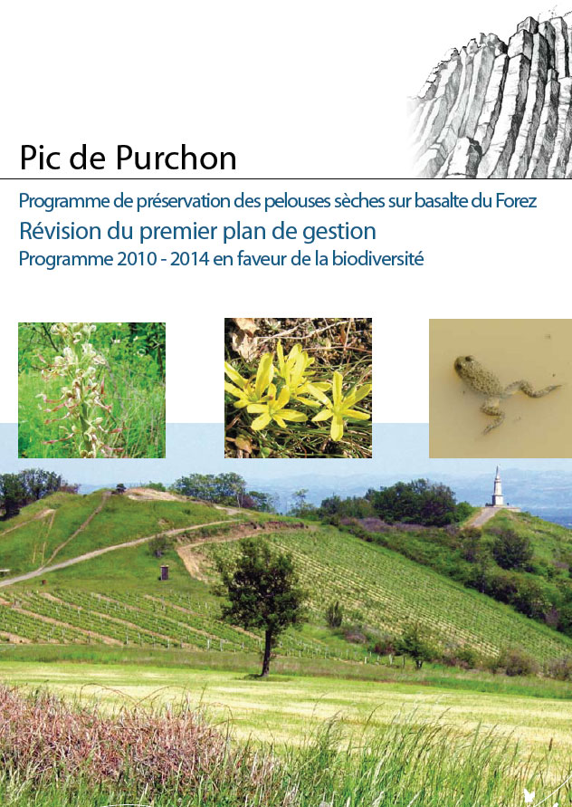 PDGs-Purchon-web
