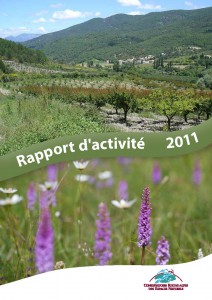 Rapportannuel2011